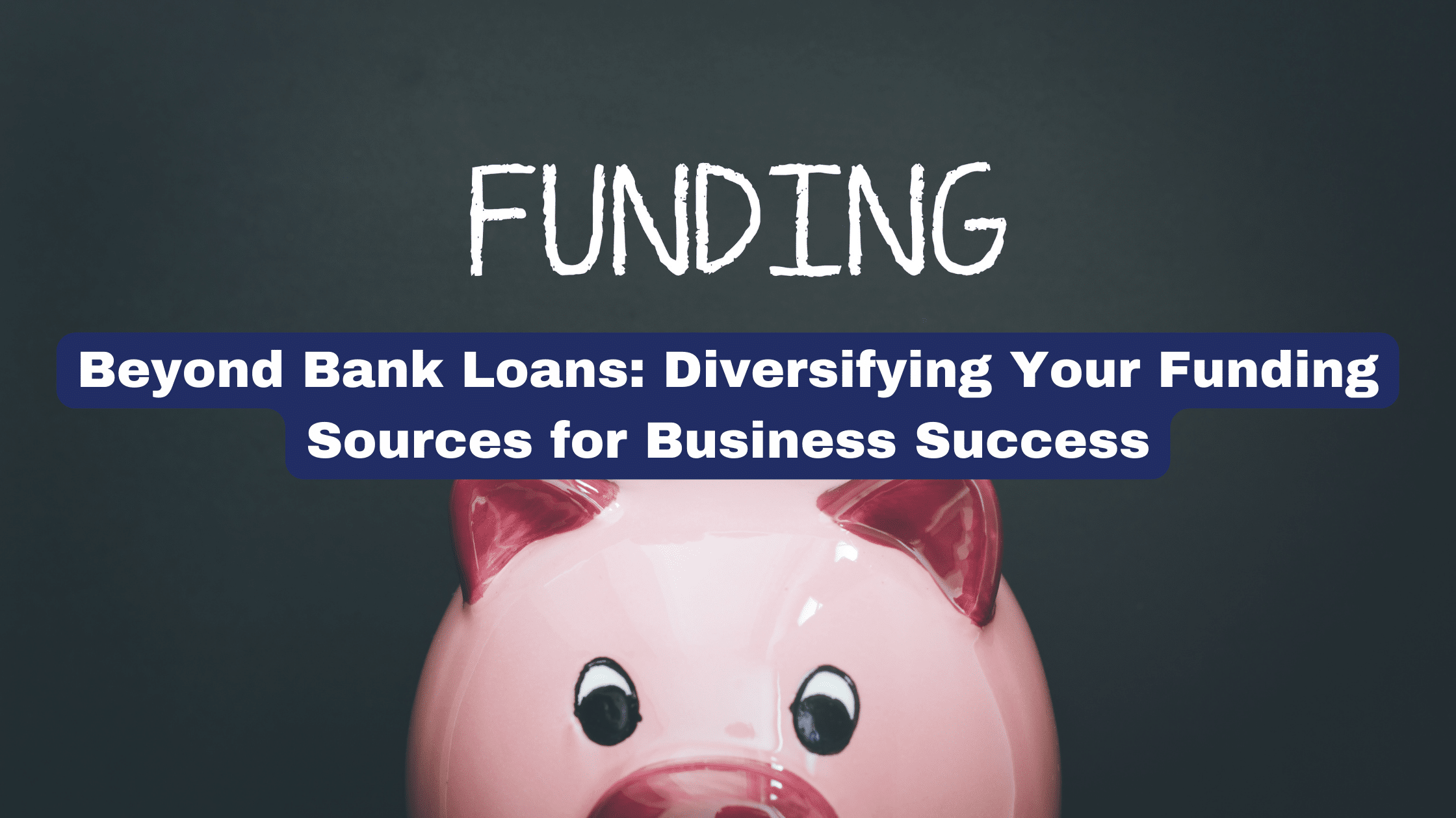 picture of a piggy bank with the title Beyond Bank Loans: Diversifying Your Funding Sources for Business Success